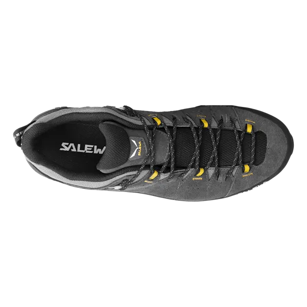 Salewa Men's Alp Trainer 2 Gore-Tex Hiking Shoes