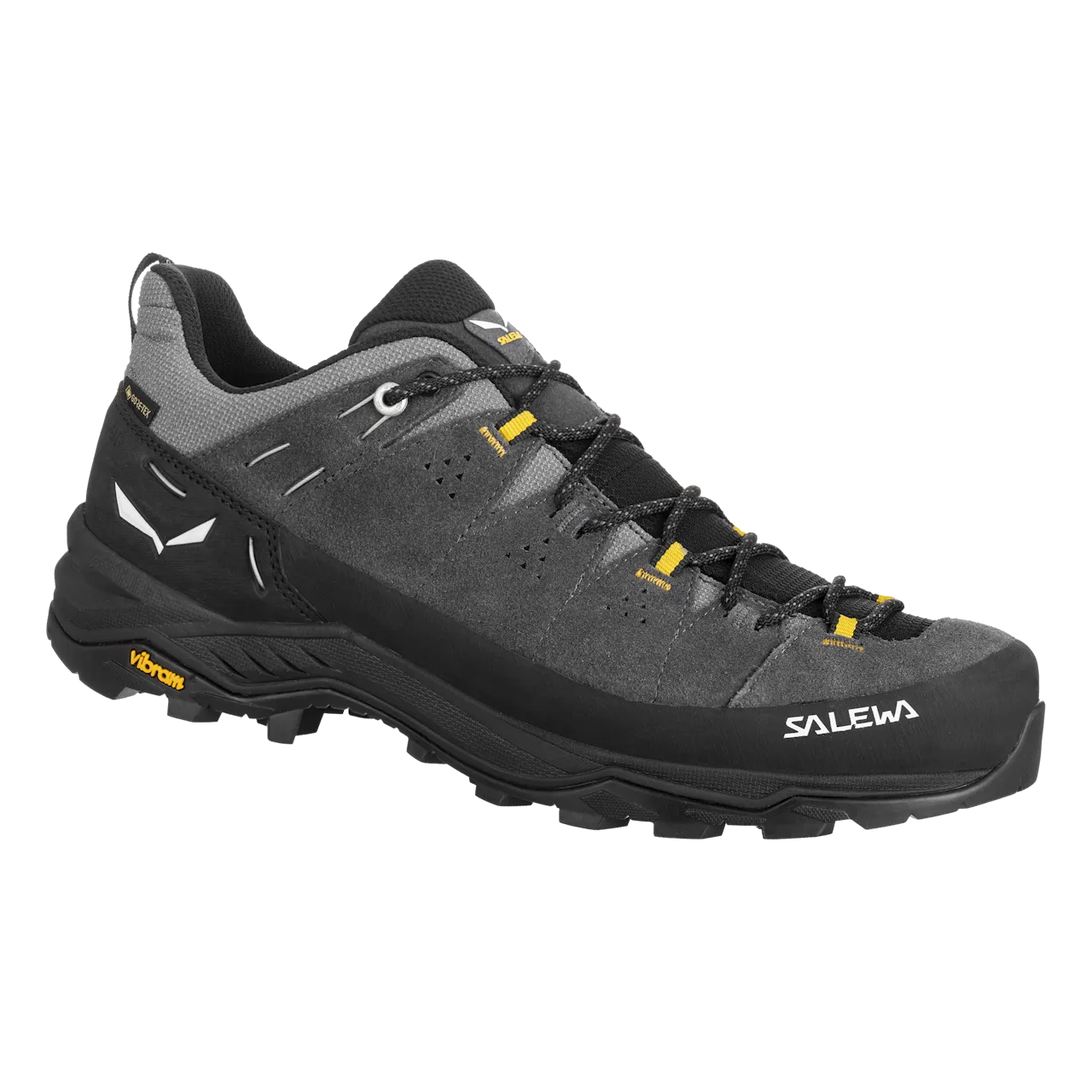 Salewa Men's Alp Trainer 2 Gore-Tex Hiking Shoes
