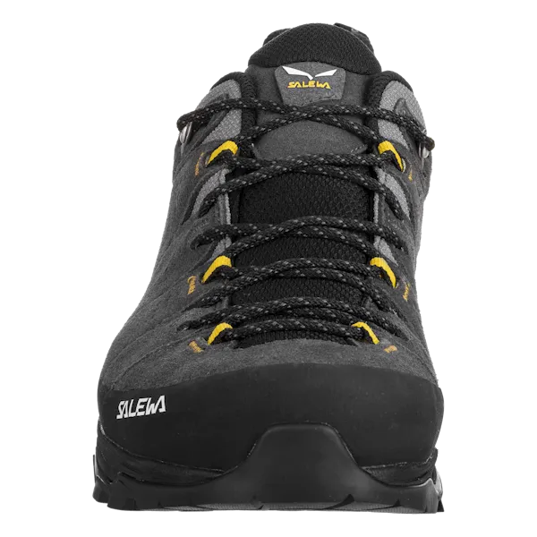 Salewa Men's Alp Trainer 2 Gore-Tex Hiking Shoes